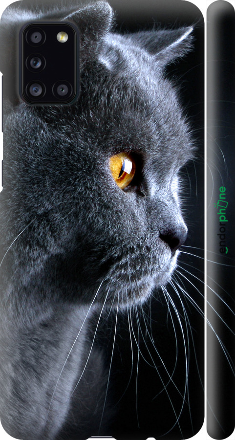 3D пластиковий матовий чохол "Гарний кіт" для Samsung Galaxy A31 A315F, Чорний
3D пластиковий матовий чохол "Гарний кіт" для Samsung Galaxy A31 A315F, Чорний