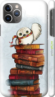 3D пластиковий глянцевий чехол Сова та книги для Apple iPhone 11 Pro Max - 6436c-1723 изображение 