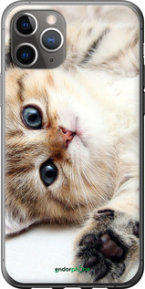 2D пластиковий чехол Котик для Apple iPhone 11 Pro Max - 6024t-1723 изображение 