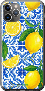 2D пластиковий чехол Grocery Girl Italian Summer для Apple iPhone 11 Pro Max - 6766t-1723 изображение 