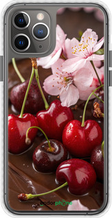 Чохол Bumper чехол Вишня у шоколаді для Apple iPhone 11 Pro - 6698pc-1788 изображение 