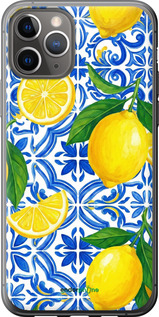 2D пластиковий чехол Grocery Girl Italian Summer для Apple iPhone 11 Pro - 6766t-1788 изображение 