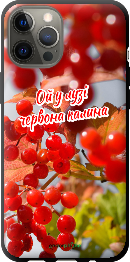 TPU чехол Калина для Apple iPhone 12 Pro Max - 5454b-2054 изображение 