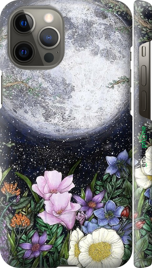 3D пластиковий глянцевий чехол Північ у саду II для Apple iPhone 12 Pro Max - 6424c-2054 изображение 