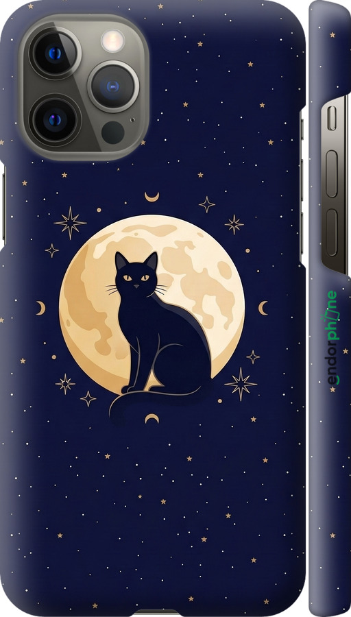 3D пластиковый матовый чехол Cute Cat Celestial/Witchy для Apple iPhone 12 Pro Max - 6787m-2054 изображение 