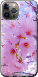 2D пластиковый чехол Сакура для Apple iPhone 12 Pro Max - 6029t-2054 изображение 
