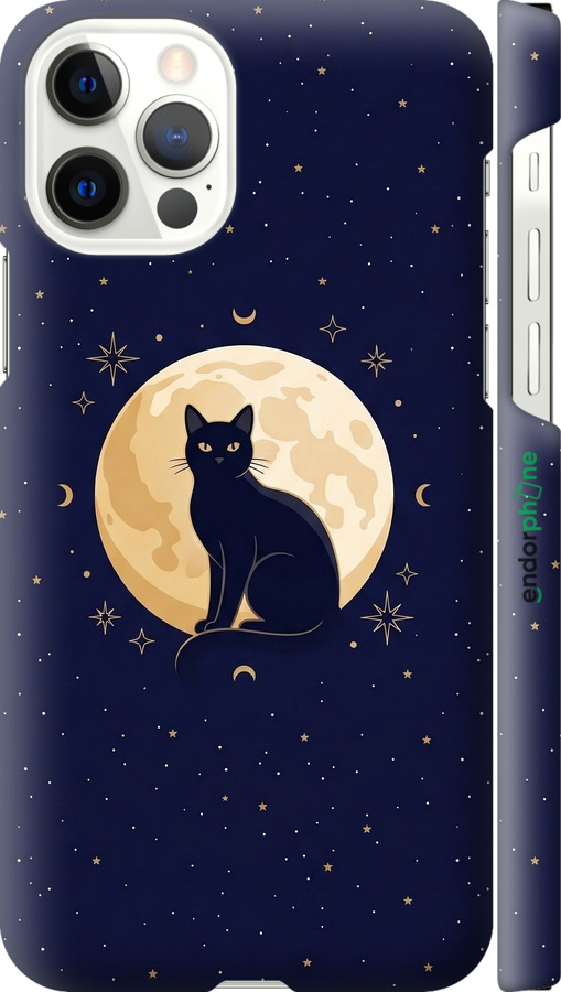 3D пластиковый глянцевый чехол Cute Cat Celestial/Witchy для Apple iPhone 12 Pro - 6787c-2052 изображение 