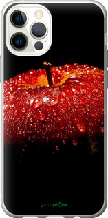 2D пластиковый чехол Яблоко для Apple iPhone 12 Pro - 6022t-2052 изображение 