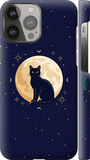 3D пластиковый матовый чехол Cute Cat Celestial/Witchy для Apple iPhone 13 Pro Max - 6787m-2371 изображение 