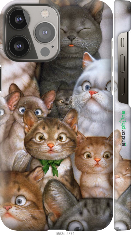 

3D пластиковий матовий чохол "Коти" для iPhone 13 Pro Max