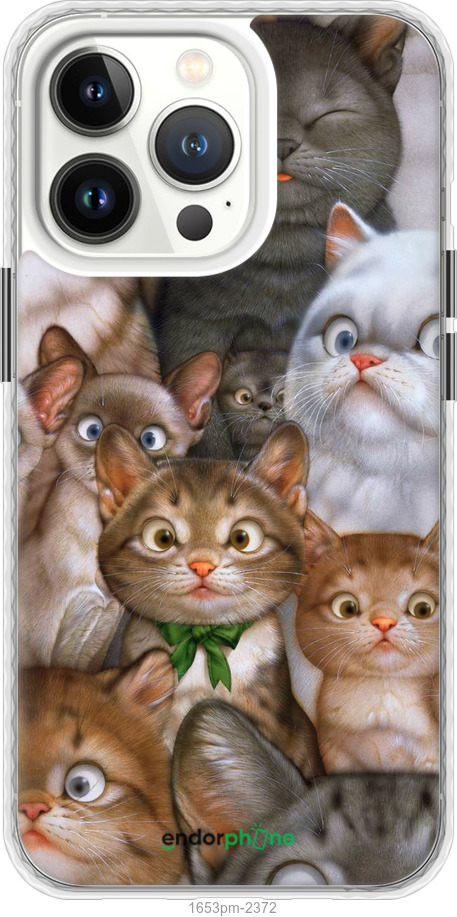 

Чохол Bumper MagSafe чохол "Коти" для iPhone 13 Pro