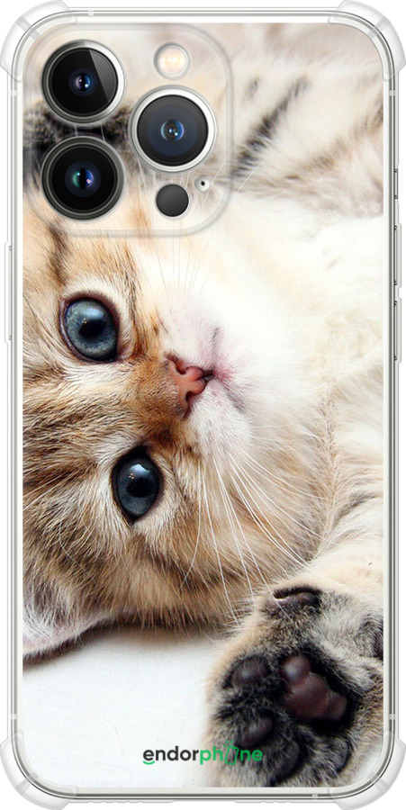 Силикон с усиленными углами чехол Котик для Apple iPhone 13 Pro - 6024sp-2372 изображение 