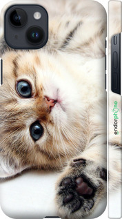 3D пластиковый матовый чехол Котик для Apple iPhone 14 Plus - 6024m-2645 изображение 