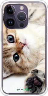 Силикон с усиленными углами чехол Котик для Apple iPhone 14 Pro - 6024sp-2646 изображение 