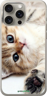 Силиконовый чехол Котик для Apple iPhone 15 Pro Max - 6024u-3098 изображение 