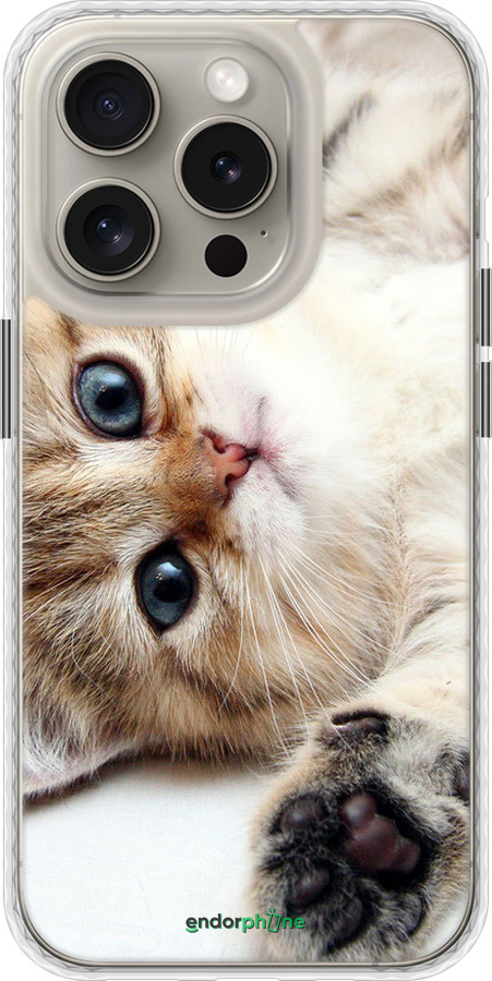Чохол Bumper MagSafe чехол Котик для Apple iPhone 15 Pro - 6024pm-3096 изображение 