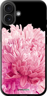 TPU чехол Хризантема для Apple iPhone 16 Plus - 4666b-3714 изображение 