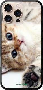 TPU чехол Котик для Apple iPhone 16 Pro Max - 6024b-3706 изображение 