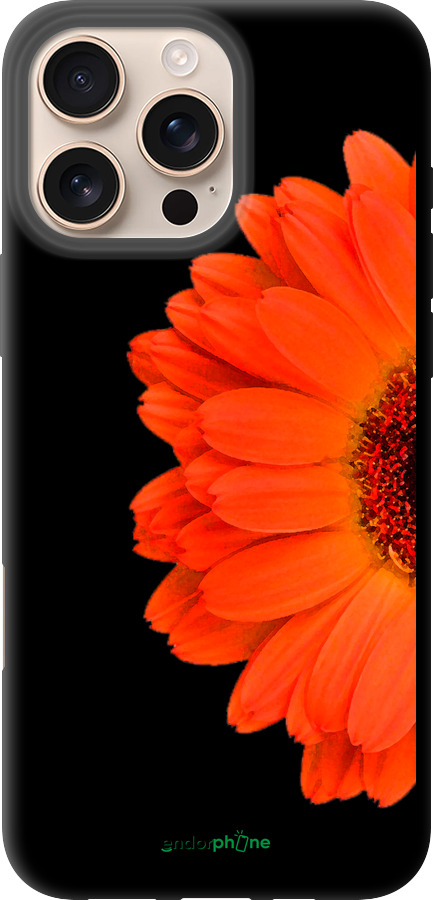 TPU чехол Гербера 1 для Apple iPhone 16 Pro Max - 4534b-3706 изображение 