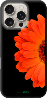TPU чехол Гербера 1 для Apple iPhone 16 Pro - 4534b-3708 изображение 