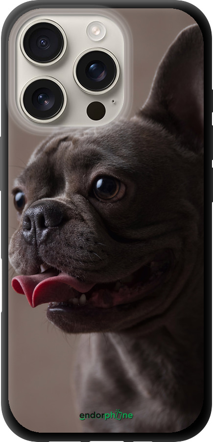TPU чехол Милый бульдог для Apple iPhone 16 Pro - 5546b-3708 изображение 