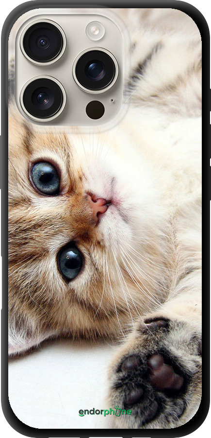 TPU чехол Котик для Apple iPhone 16 Pro - 6024b-3708 изображение 