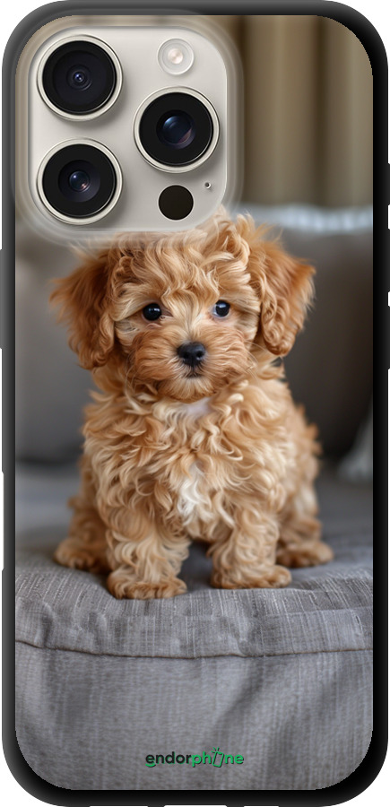 TPU чехол Mini-maltipoo для Apple iPhone 16 Pro - 6158b-3708 изображение 