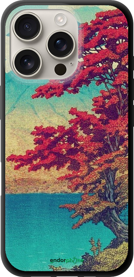 TPU чехол С изображением природы для Apple iPhone 16 Pro - 6469b-3708 изображение 