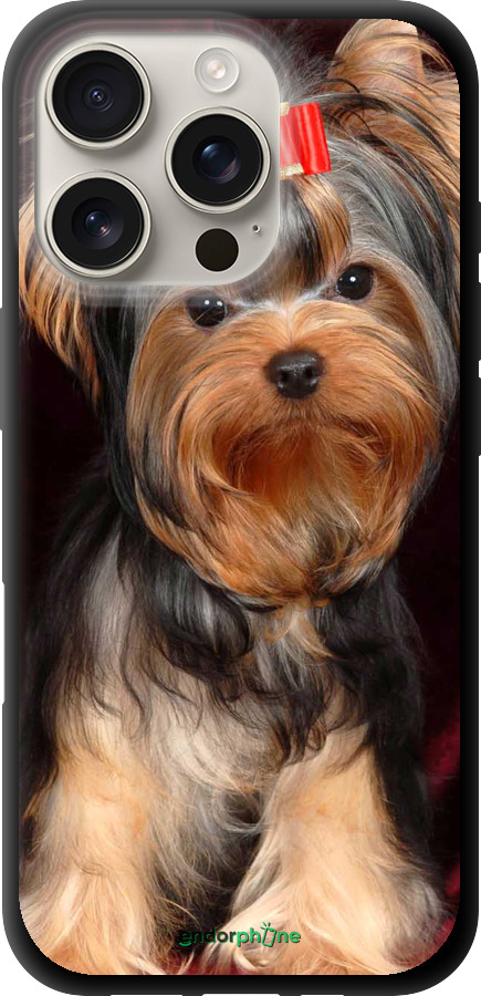 TPU чехол Йоркширский терьер для Apple iPhone 16 Pro - 929b-3708 изображение 