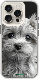 Чехол Bumper чехол Мальтипу на чорном фоне для Apple iPhone 16 Pro - 6156pc-3708 изображение 