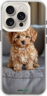 Чехол Bumper чехол Mini-maltipoo для Apple iPhone 16 Pro - 6158pc-3708 изображение 