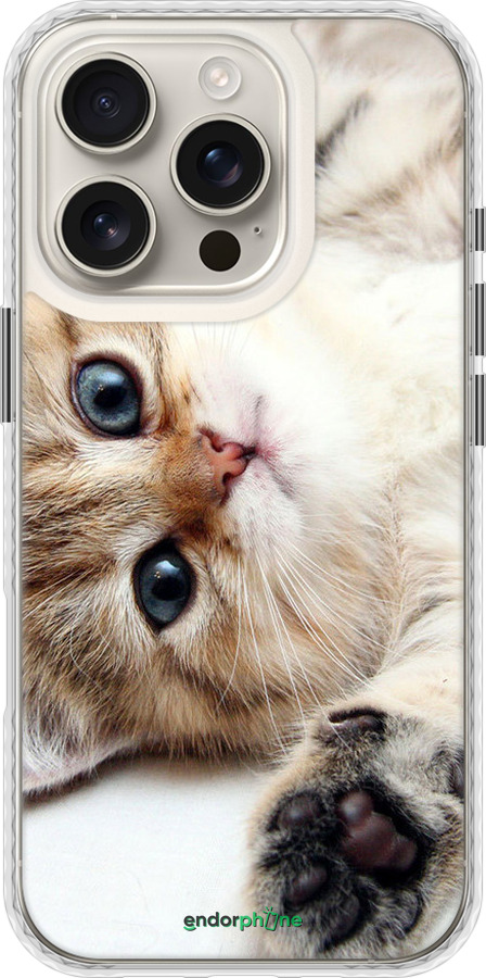 Чохол Bumper чехол Котик для Apple iPhone 16 Pro - 6024pc-3708 изображение 
