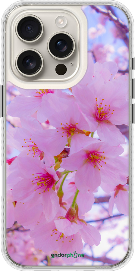 Чехол Bumper чехол Сакура для Apple iPhone 16 Pro - 6029pc-3708 изображение 