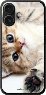 TPU чехол Котик для Apple iPhone 16 - 6024b-3709 изображение 