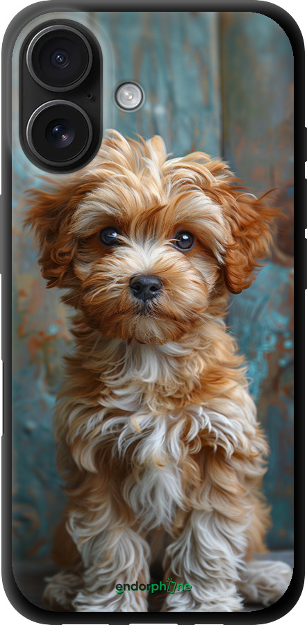 TPU чехол Щенок мальтипу для Apple iPhone 16 - 6157b-3709 изображение 