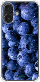 Силикон с усиленными углами чехол Голубика для Apple iPhone 16 - 4459sp-3709 изображение 