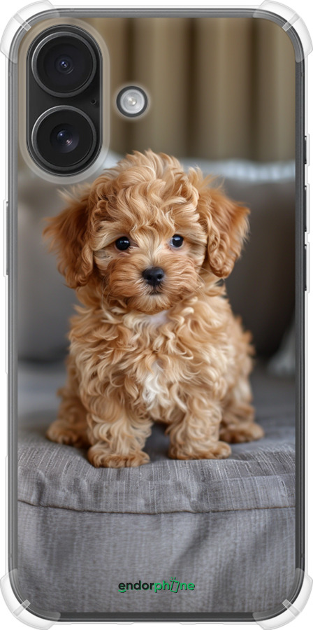Силикон с усиленными углами чехол Mini-maltipoo для Apple iPhone 16 - 6158sp-3709 изображение 