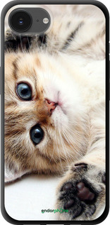 TPU чехол Котик для Apple iPhone 16e - 6024b-3971 изображение 