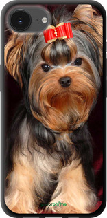 TPU чехол Йоркширський тер'єр для Apple iPhone 16e - 929b-3971 изображение 