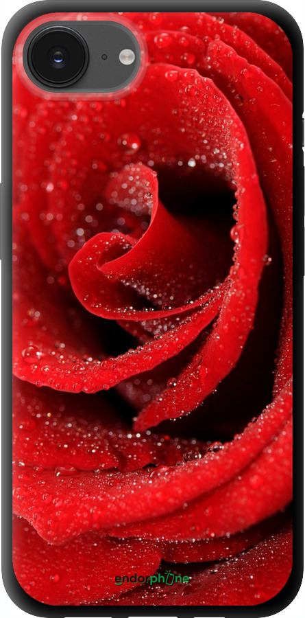 TPU чехол Червона троянда для Apple iPhone SE 4 - 529b-3652 изображение 