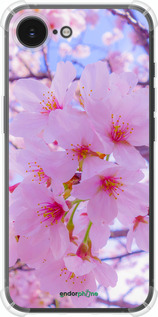 Силикон с усиленными углами чехол Сакура для Apple iPhone SE 4 - 6029sp-3652 изображение 