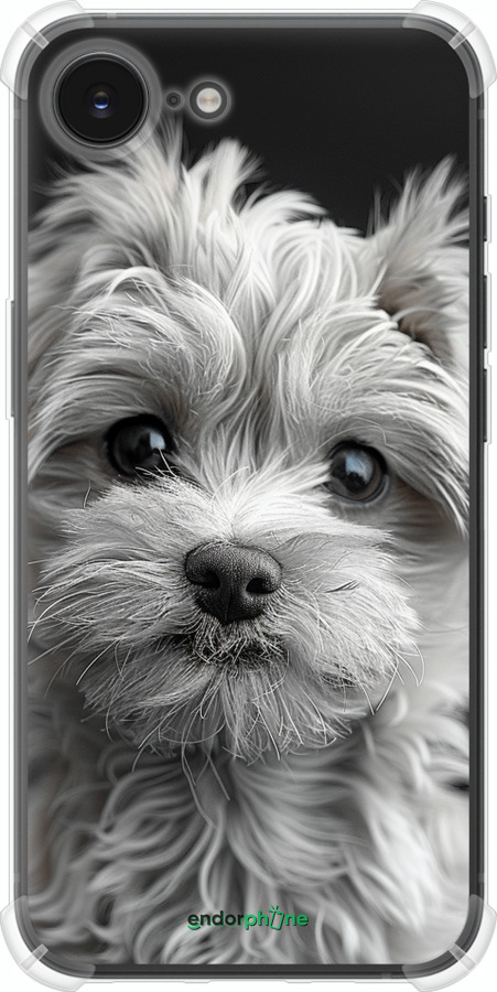 Силикон с усиленными углами чехол Мальтипу на чорном фоне для Apple iPhone SE 4 - 6156sp-3652 изображение 