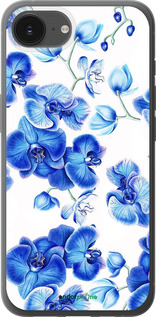 Силиконовый чехол Голубые орхидеи для Apple iPhone SE 4 - 4406u-3652 изображение 