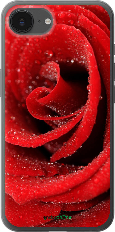 Силиконовый чехол Красная роза для Apple iPhone SE 4 - 529u-3652 изображение 