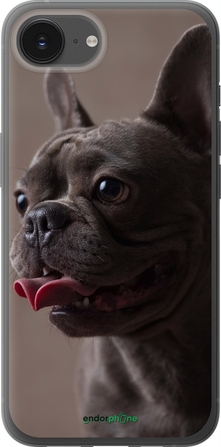 Силиконовый чехол Милый бульдог для Apple iPhone 16e - 5546u-3971 изображение 