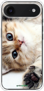 Силикон с усиленными углами чехол Котик для Apple iPhone 17 AIR - 6024sp-4032 изображение 