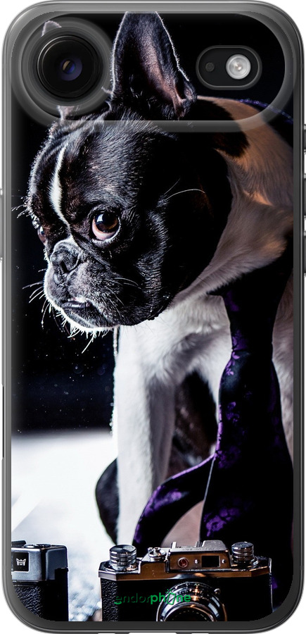 Силиконовый чехол Бульдог-фотограф для Apple iPhone 17 AIR - 142u-4032 изображение 