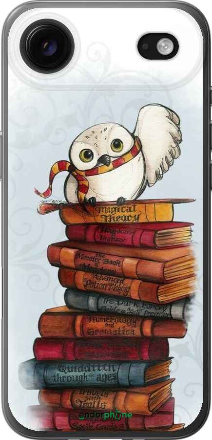 Силиконовый чехол Сова и книги для Apple iPhone 17 AIR - 6436u-4032 изображение 