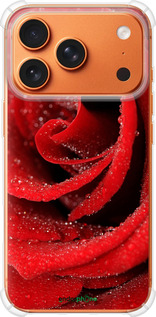 Силикон с усиленными углами чехол Красная роза для Apple iPhone 17 PRO MAX - 529sp-4029 изображение 