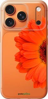 Силиконовый чехол Гербера 1 для Apple iPhone 17 PRO MAX - 4534u-4029 изображение 